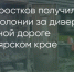 Поделитья во ВКонтакте - Братская Студия Телевидения