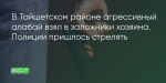 Поделитья во ВКонтакте