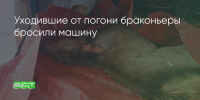 Поделитья во ВКонтакте - Братская Студия Телевидения