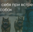 Поделитья во ВКонтакте - Братская Студия Телевидения