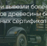 Поделитья во ВКонтакте - Братская Студия Телевидения