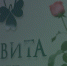 Поделитья во ВКонтакте - Братская Студия Телевидения