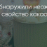 Поделитья во ВКонтакте - Братская Студия Телевидения
