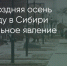 Поделитья во ВКонтакте - Братская Студия Телевидения