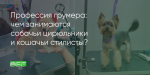 Поделитья во ВКонтакте