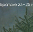 Поделитья во ВКонтакте - Братская Студия Телевидения