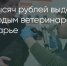 Поделитья во ВКонтакте - Братская Студия Телевидения
