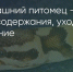 Поделитья во ВКонтакте - Братская Студия Телевидения
