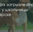 Поделитья во ВКонтакте - Братская Студия Телевидения