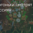 Поделитья во ВКонтакте - Братская Студия Телевидения