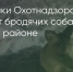 Поделитья во ВКонтакте - Братская Студия Телевидения