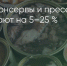 Поделитья во ВКонтакте - Братская Студия Телевидения