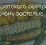 Поделитья во ВКонтакте - Братская Студия Телевидения