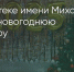 Поделитья во ВКонтакте - Братская Студия Телевидения