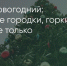 Поделитья во ВКонтакте - Братская Студия Телевидения