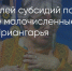 Поделитья во ВКонтакте - Братская Студия Телевидения