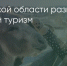 Поделитья во ВКонтакте - Братская Студия Телевидения