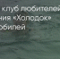 Поделитья во ВКонтакте - Братская Студия Телевидения