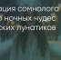 Поделитья во ВКонтакте - Братская Студия Телевидения