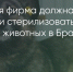 Поделитья во ВКонтакте - Братская Студия Телевидения