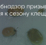 Поделитья во ВКонтакте - Братская Студия Телевидения