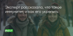 Поделитья во ВКонтакте