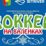 1 марта состоится I-й Открытый Кубок мэра города по хоккею на валенках. Братчан приглашают на захватывающее спортивное событие! (ВИДЕО) - Администрация г. Братск