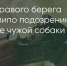 Поделитья во ВКонтакте - Братская Студия Телевидения