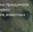 Поделитья во ВКонтакте - Братская Студия Телевидения