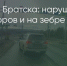 Поделитья во ВКонтакте - Братская Студия Телевидения