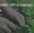 Поделитья во ВКонтакте - Братская Студия Телевидения