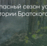 Поделитья во ВКонтакте - Братская Студия Телевидения