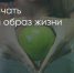 Поделитья во ВКонтакте - Братская Студия Телевидения