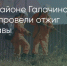 Поделитья во ВКонтакте - Братская Студия Телевидения