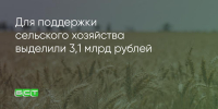 Поделитья во ВКонтакте - Братская Студия Телевидения