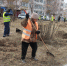 Около 12 тысяч братчан приняли участие в общегородском субботнике (ФОТО) - Администрация г. Братск