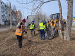 Около 12 тысяч братчан приняли участие в общегородском субботнике (ФОТО)