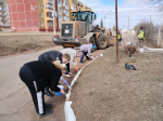 Около 12 тысяч братчан приняли участие в общегородском субботнике (ФОТО)