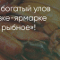 Поделитья во ВКонтакте - Братская Студия Телевидения