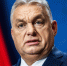 Орбан потребовал от НАТО пресечь распространяемую Киевом дезинформацию - Газета Голос Братска