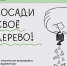 РУСАЛ и Эн+ запускают ежегодную масштабную акцию по озеленению городов ответственности - Братская Студия Телевидения
