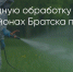 Поделитья во ВКонтакте - Братская Студия Телевидения