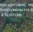 Поделитья во ВКонтакте - Братская Студия Телевидения