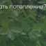 Поделитья во ВКонтакте - Братская Студия Телевидения