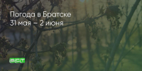 Поделитья во ВКонтакте - Братская Студия Телевидения