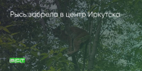 Поделитья во ВКонтакте - Братская Студия Телевидения