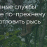 Поделитья во ВКонтакте - Братская Студия Телевидения