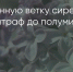 Поделитья во ВКонтакте - Братская Студия Телевидения