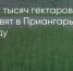 Поделитья во ВКонтакте - Братская Студия Телевидения