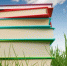 Топ-5 книжных новинок, от которых веет летом, теплом и душой 16+ - ЦБС города Братска